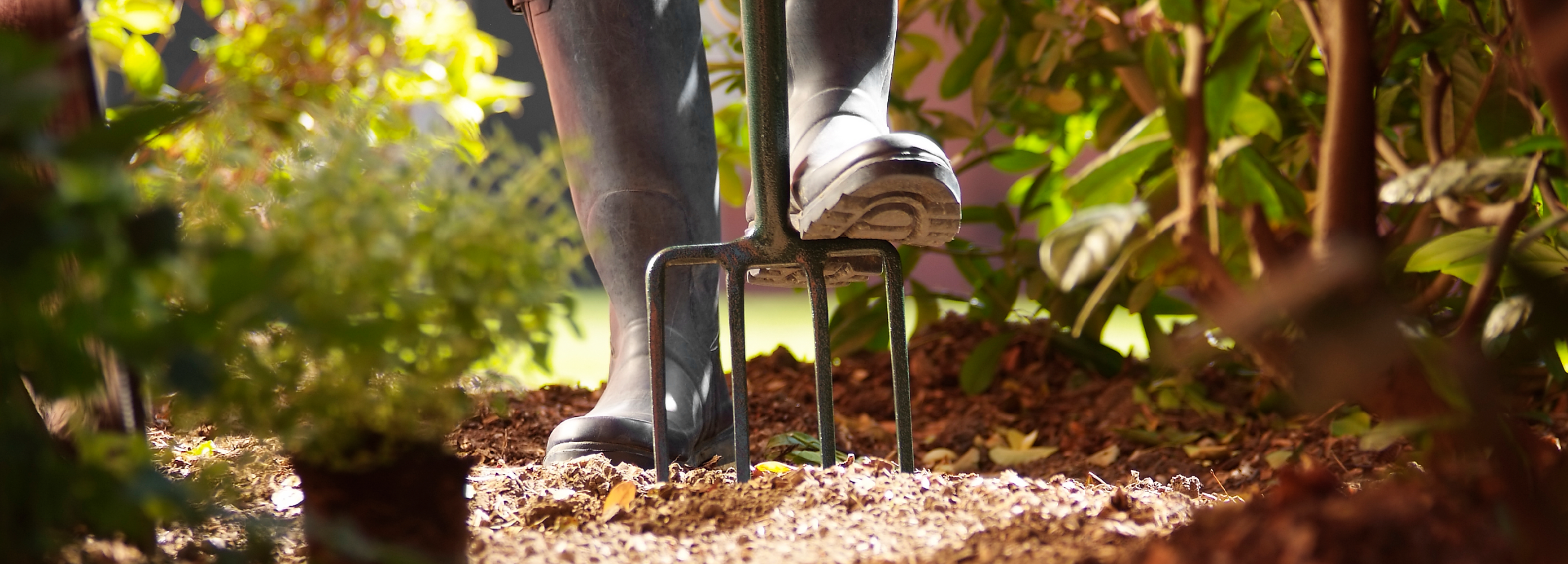 Let your garden grow the value of your home this spring