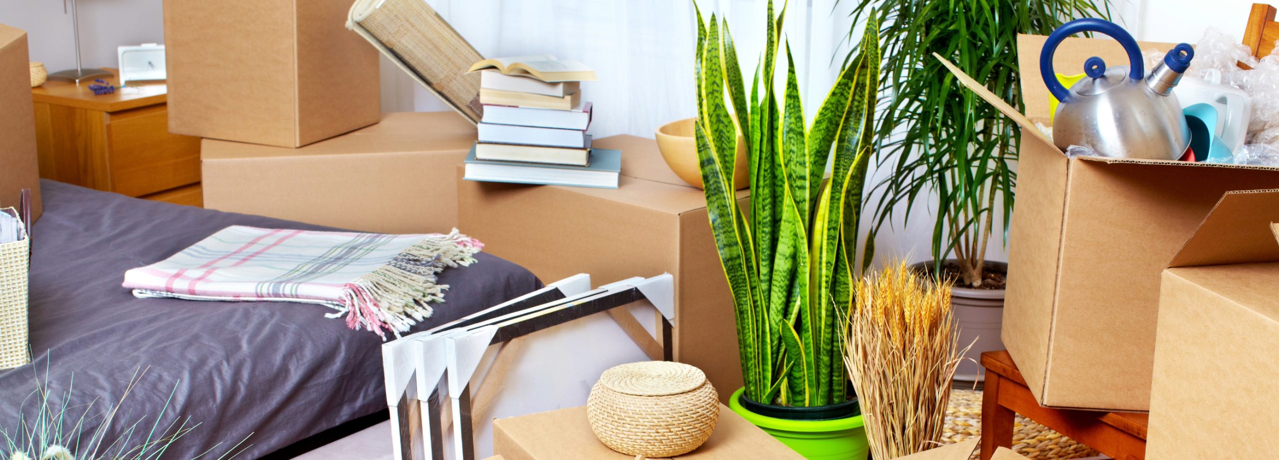 Understanding your periodic tenancy: Flexibility and notice requirements