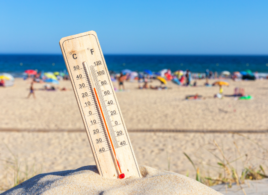 Three heatwaves, three dips, one resilient buyer market